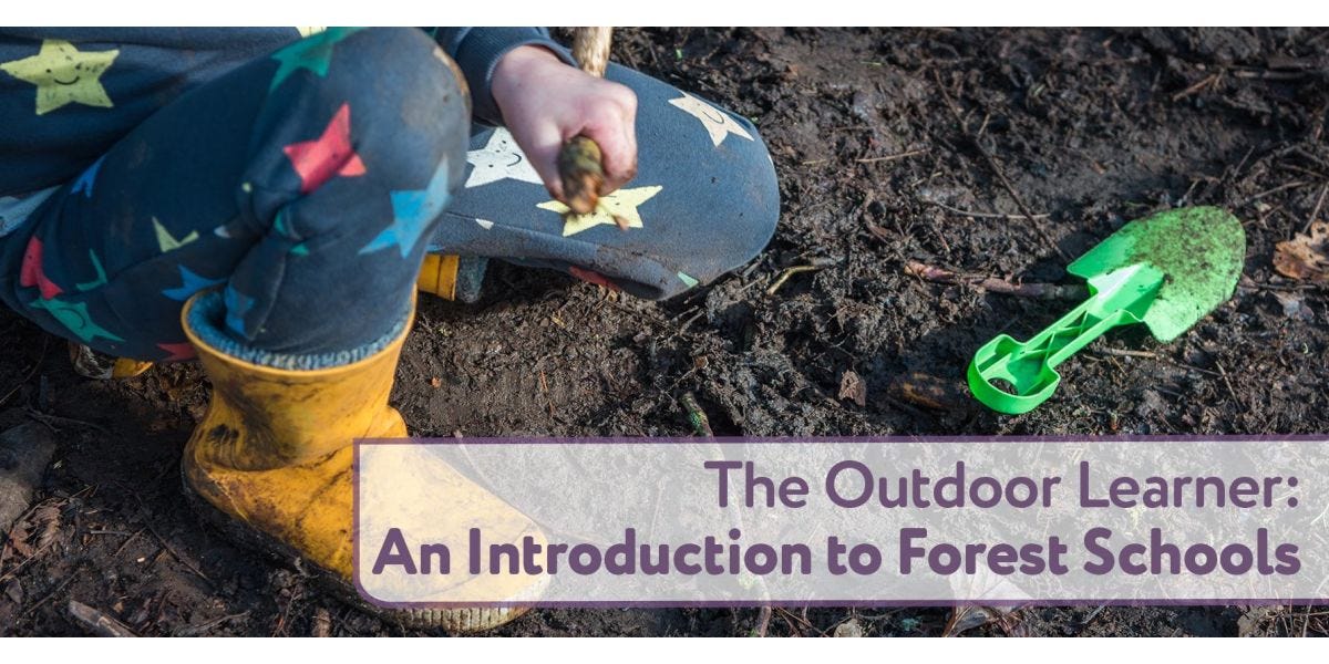 Forest schools