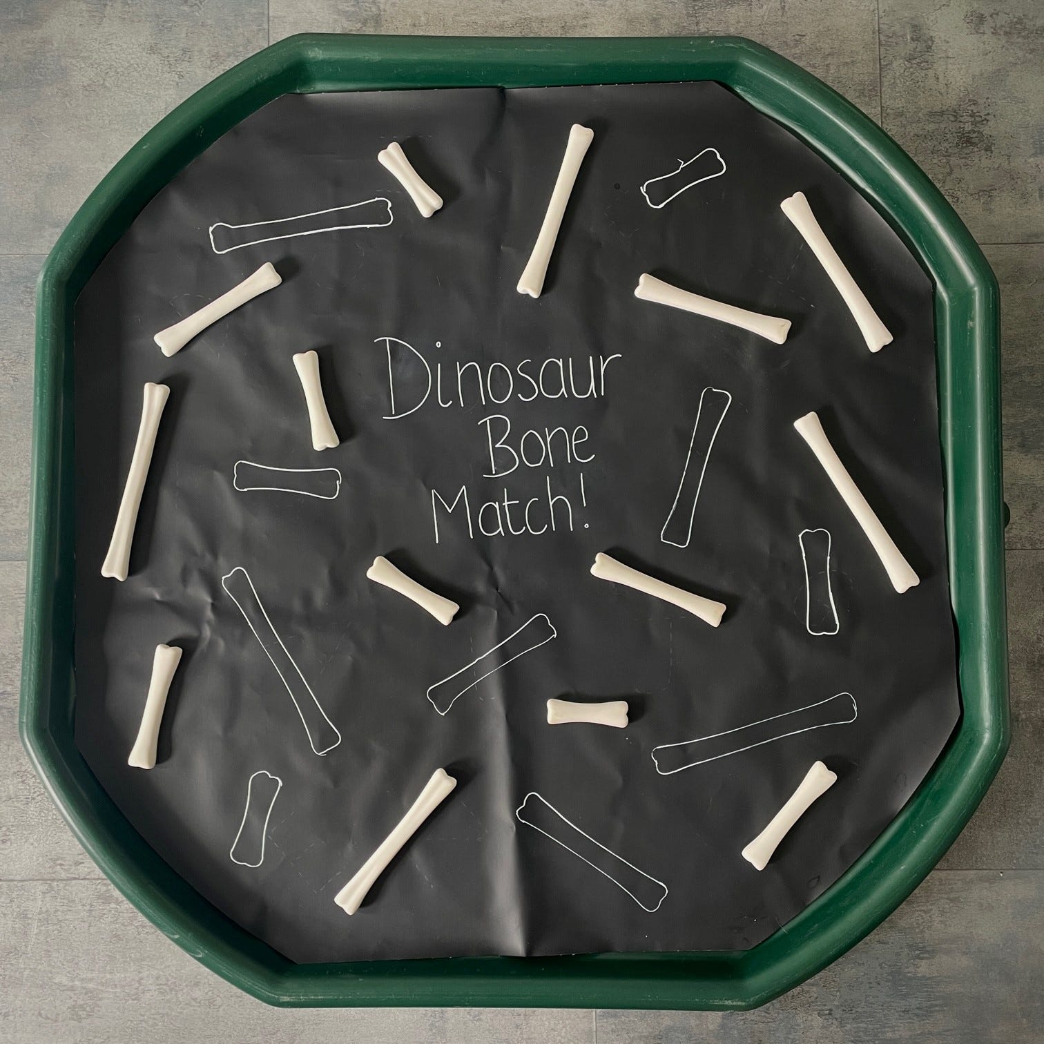 Dino Bone Match